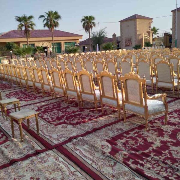 WhatsApp Image 2026 05 14 at 1 05 48 AM 1 41 11zon 600x600